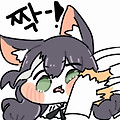 댓글 첨부 이미지