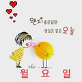 댓글 첨부 이미지