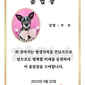 댓글 첨부 이미지