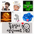 댓글 첨부 이미지