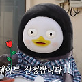 댓글 첨부 이미지