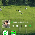 댓글 첨부 이미지