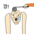 댓글 첨부 이미지
