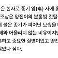 댓글 첨부 이미지
