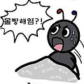 댓글 첨부 이미지