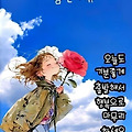 댓글 첨부 이미지