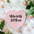 댓글 첨부 이미지
