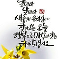 댓글 첨부 이미지