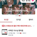 댓글 첨부 이미지