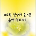 '아침의 새소리는 맑고' 글에 포함된 이미지