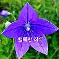 '주형님 ~콘서트가 점' 글에 포함된 이미지