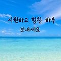'어제 다시 열애를 보' 글에 포함된 이미지