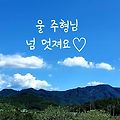 '주형님어제는 제주보' 글에 포함된 이미지
