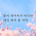 '▫️🍀▫️▫️🍀' 글에 포함된 이미지