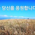 '주형님~콘서트를 코앞' 글에 포함된 이미지