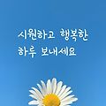 '주형님주소가 바뀌어 ' 글에 포함된 이미지