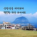 '주형님 연일 계속되는' 글에 포함된 이미지