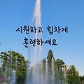 '주형님 이제 대회가 2' 글에 포함된 이미지