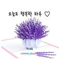 '주형님 모처럼의 휴가' 글에 포함된 이미지