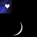 '잘자구요~~~~~🌛..' 글에 포함된 이미지