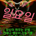 댓글 첨부 이미지