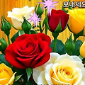 댓글 첨부 이미지