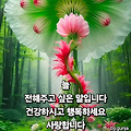 댓글 첨부 이미지