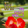 댓글 첨부 이미지