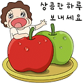 댓글 첨부 이미지