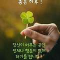 댓글 첨부 이미지