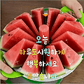 댓글 첨부 이미지