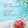댓글 첨부 이미지