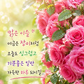 댓글 첨부 이미지