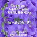 댓글 첨부 이미지