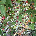 댓글 첨부 이미지
