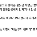 댓글 첨부 이미지