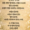 댓글 첨부 이미지