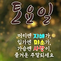 댓글 첨부 이미지