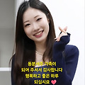 댓글 첨부 이미지