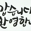 댓글 첨부 이미지