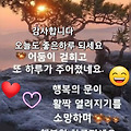 댓글 첨부 이미지