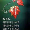 댓글 첨부 이미지