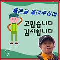 댓글 첨부 이미지