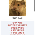 댓글 첨부 이미지