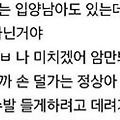 댓글 첨부 이미지