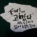 댓글 첨부 이미지