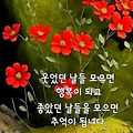 댓글 첨부 이미지
