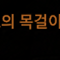 댓글 첨부 이미지