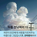 댓글 첨부 이미지