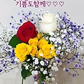 댓글 첨부 이미지